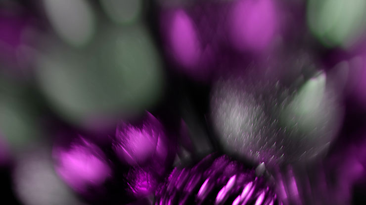 Christmas Ornamental Collection: Christmas Ornamental 16 Motion