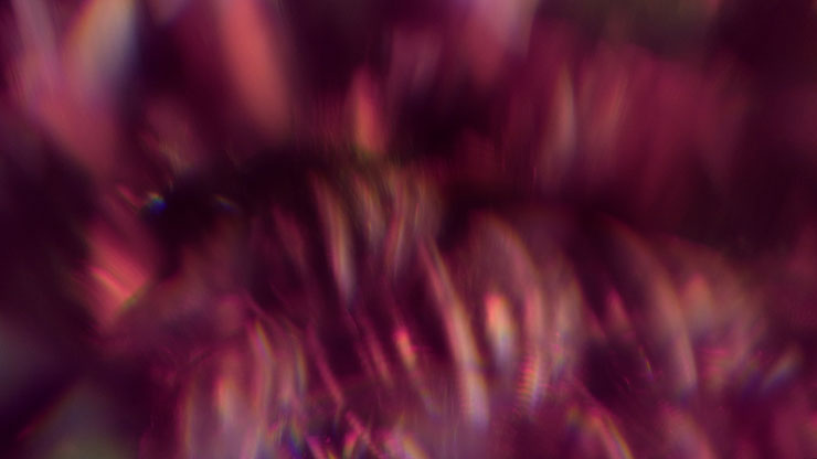 Christmas Ornamental Collection: Christmas Ornamental 17 Motion