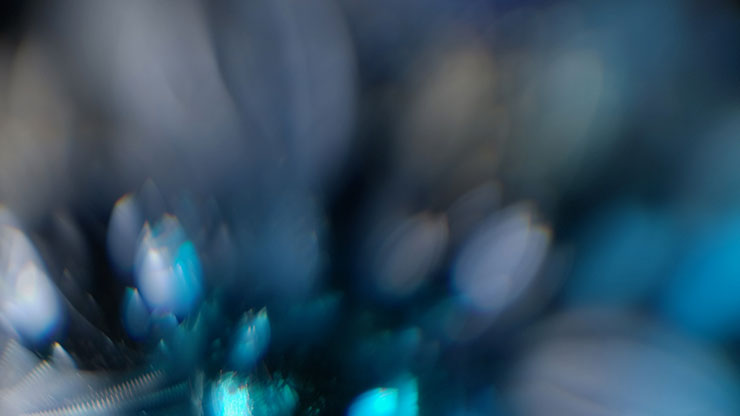 Christmas Ornamental Collection: Christmas Ornamental 18 Motion