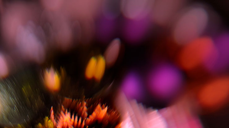 Christmas Ornamental Collection: Christmas Ornamental 19 Motion