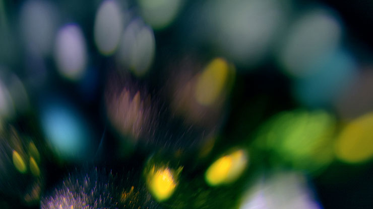 Christmas Ornamental Collection: Christmas Ornamental 20 Motion