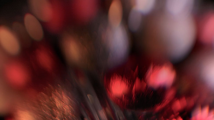Christmas Ornamental Collection: Christmas Ornamental 4 Motion