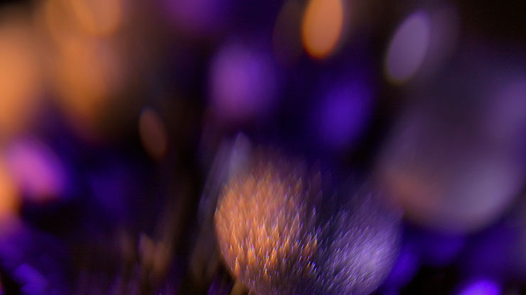 Christmas Ornamental Collection: Christmas Ornamental 7 Motion