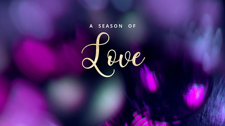 Christmas Ornamental Collection: Christmas Ornamental Love