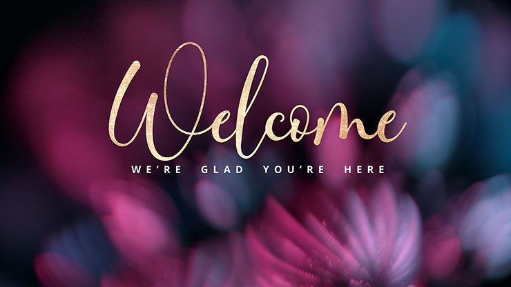 Christmas Ornamental Collection: Christmas Ornamental Welcome