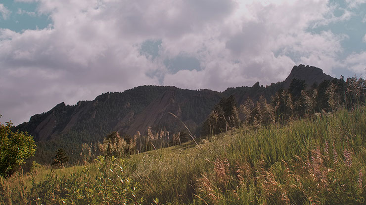 Flatirons Collection: Flatirons Grace