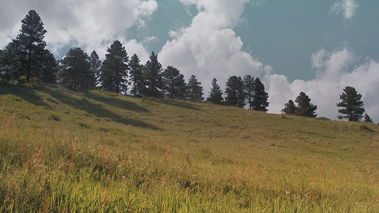 Flatirons Collection: Flatirons Radiant
