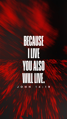 Easter At Your Church - Bright Vortex Scripture 2: Social Story