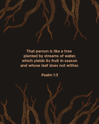 Rooted Rustic Roots - Scripture 2: Social Post