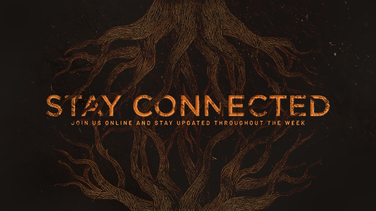 Rooted Rustic Roots - Stay Connected: Title Graphics