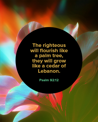 Flourish Neon Flower - Scripture 1: Social Post